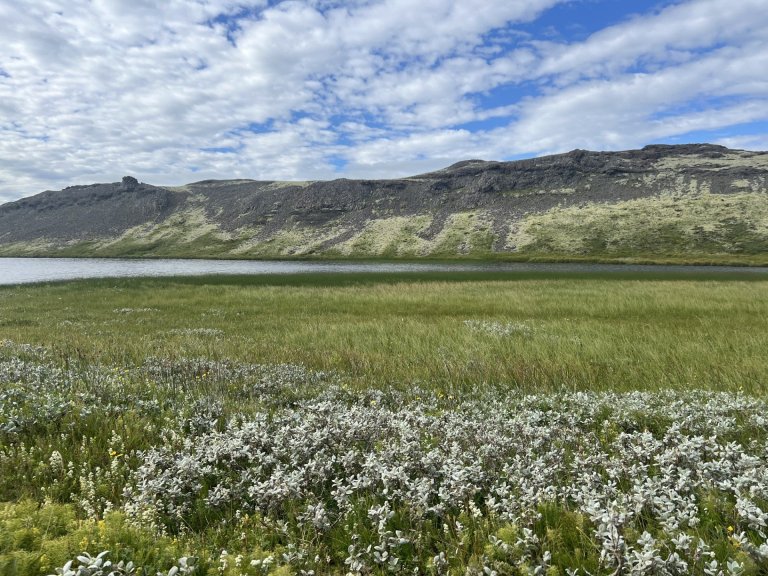Jákvæð raunávöxtun lífeyrissjóða árið 2025