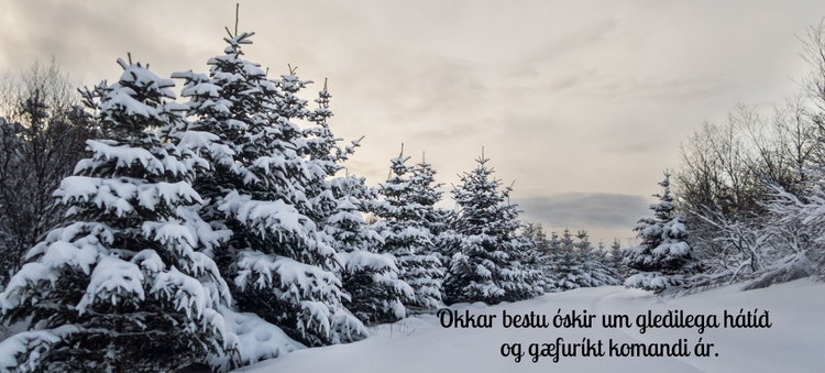 Opnunartími um hátíðarnar