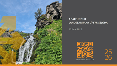 Brýnt að Alþingi samþykki breytt ákvæði um fjárfestingarheimildir lífeyrissjóða fyrir lok vorþings